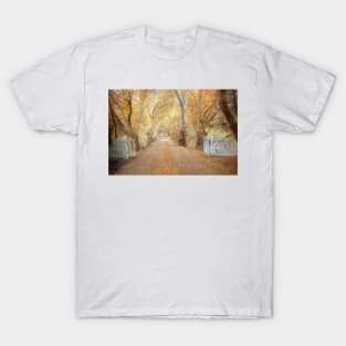 Colours of Autumn - Blakiston, The Adelaide Hills, SA T-Shirt